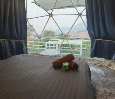 Mae Rim Other | Scenic Views Await at ม่อนหมอกฟ้า ม่อนแจ่ม - 8.6/10 Rated