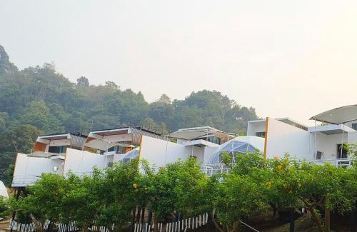 Mae Rim Other | Scenic Views Await at ม่อนหมอกฟ้า ม่อนแจ่ม - 8.6/10 Rated