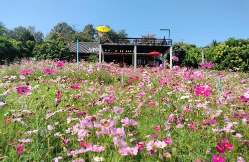 Wiang Pa Pao House | Cozy Retreat at ระเบียงดอยโฮมสเตย์ for Family Getaways