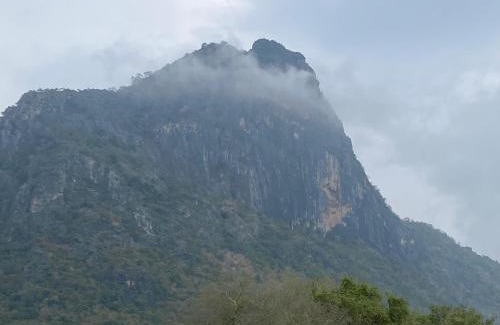 Sam Roi Yot Other | Rim Bueng Homestay: Family & Pet Friendly Getaway