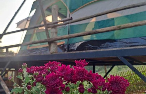 Mae On Other | Discover the Beauty of Maekampong's Green Camping Retreat