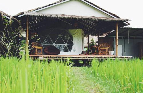 Bo Kluea House | Discover Sapan Dee View: Family-Friendly Retreat in Nan