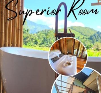Bo Kluea Hotel | Relax at Sapan Klang Na Cafe: Family-Friendly Getaway