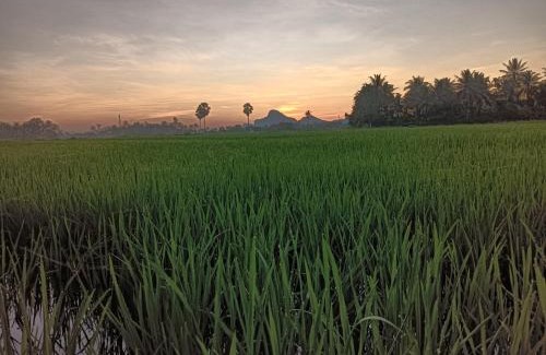 Cha-am House | Pet and Child Friendly Suk-Samer Homestay - Guest Rated 9.8