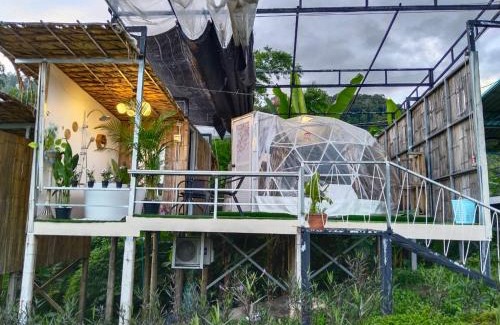 Mae Taeng Resort | Pet-Friendly Comfort at อิงเหนือ โฮมสเตย์ - Rated 8.9/10