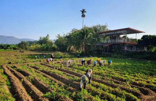 Phrao Hotel | Experience Comfort at ฮามีนาเม็ง - 5-Star Pet Friendly Hotel