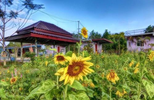 Sa Kaeo Hotel | เครือเคียงดาวรีสอร์ท