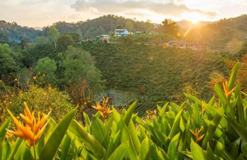 Mae Suai Resort | Discover Comfort at Laulee Hill Resort with Family-Friendly Amenities