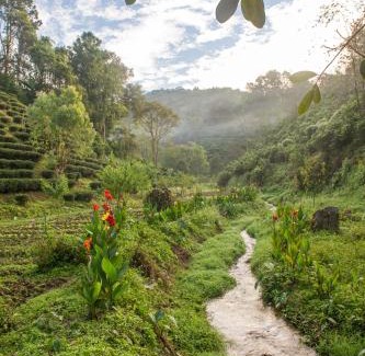 Mae Suai Resort | Discover Comfort at Laulee Hill Resort with Family-Friendly Amenities