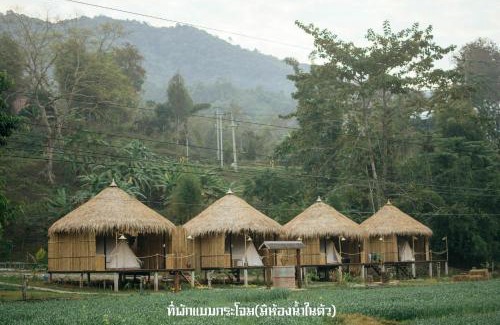 Bo Kluea Resort | Discover เสน่ห์ at บ่อเกลือ: Family and Pet Friendly Retreat