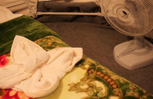 Mok Cham Pae Other | Pet-Friendly Dome Tents at Hedreung Rakthai Camping