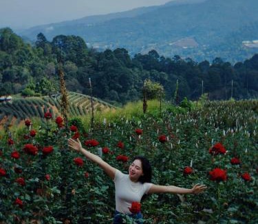 Mae Rim Other | แคมป์ปิ้ง Rose