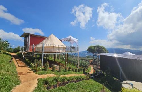 Mae Rim Other | แคมป์ปิ้ง Rose