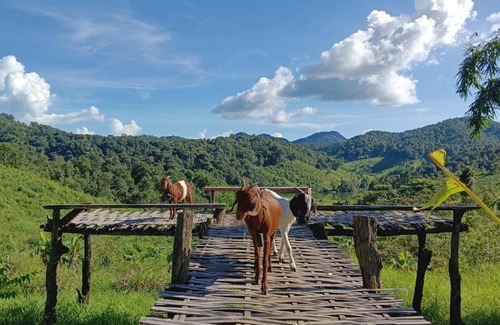 Mok Cham Pae House | Pet and Child Friendly Retreat at Nithisoonthon Farmstay