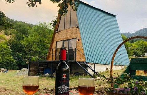 Likani Villa | Family-Friendly Cottage in მზეთამზეში with Pet Amenities