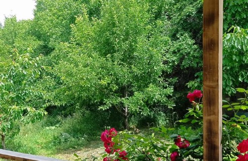 Aspindza Hotel | Guest Rated 10/10 at მესხთა: Family-Friendly Retreat