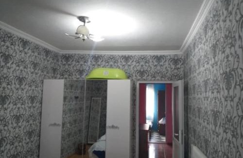 Telavi Apartment | ქირავდება კეთილმოწყობილი ბინა თელავში ალაზნის გამზირზე