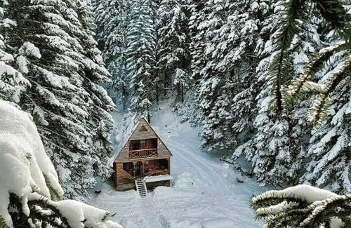 Ambrolauri Ski Chalet | Inviting Cottage Sochi: Family-Friendly Retreat Awaits