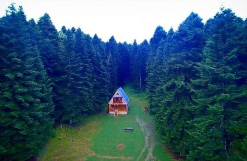 Ambrolauri Ski Chalet | Inviting Cottage Sochi: Family-Friendly Retreat Awaits