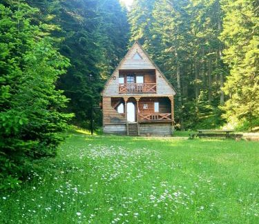Ambrolauri Ski Chalet | Inviting Cottage Sochi: Family-Friendly Retreat Awaits