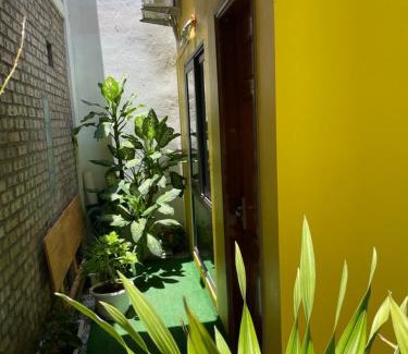 Cat Hai Apartment | Family-Friendly Ốc Homestay Cát Bà - Rated 9.9/10 by Guests