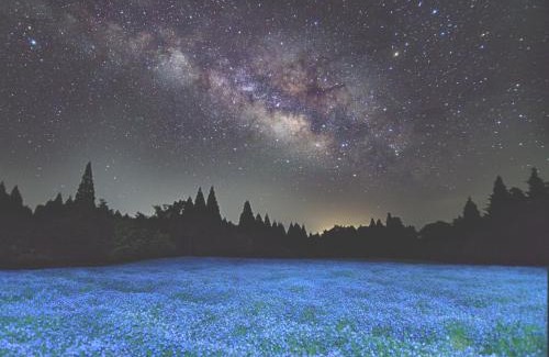 Taketa Other | Explore Nature at くじゅう花公園 Camping Resort