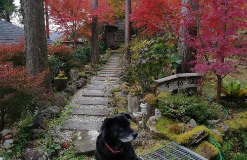 Nachikatsuura Cabin | Family-Friendly Stays at みなみ野フィールズ不動坂