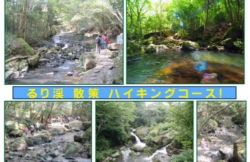 Funai-gun Cabin | Cozy Rurikei Forest Cottage - Family-Friendly Retreat