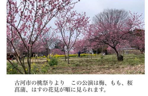 Kuki House | Pet-Friendly Retreat at コンドミニアム アガサンクス - 8.2/10 Rated