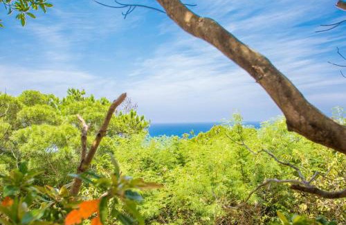 Sakimotobu Villa | Experience Dynamic Ocean Views from a Nature-Inspired Lodge