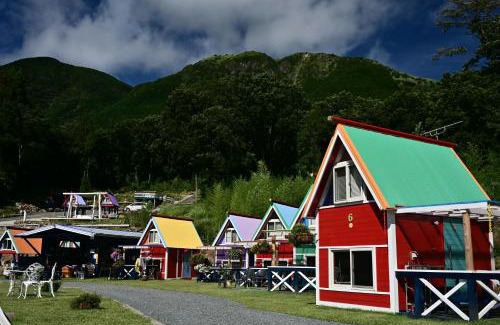Minamiaso Other | Experience Nature at パワースポットキャンプ場: Pet Friendly Oasis