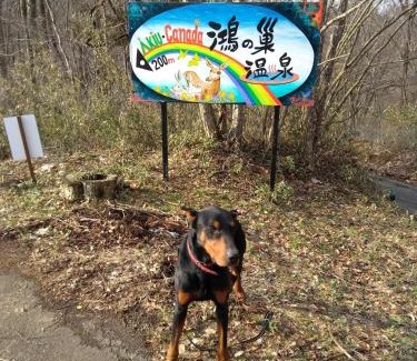 Taihaku Ward House | Pet-Friendly Akiu-Canada: Relax by the Oceanfront!