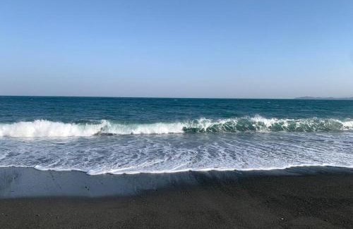 Odawara Apartment | Pet-Friendly Stay Near Odawara Hakone Ekiden Event