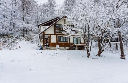 Shinano Apartment | Child-Friendly Escape at La Colina Retreat: Book Now!