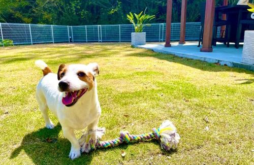 Kisami House | Pet-Friendly Ohama Beach House with Ocean Views & BBQ Fun!