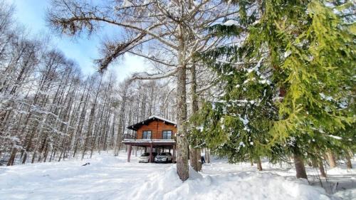 Nagano Ski Chalet | Modern Ski Chalet: 9.4/10 Rated with WiFi & Café Access