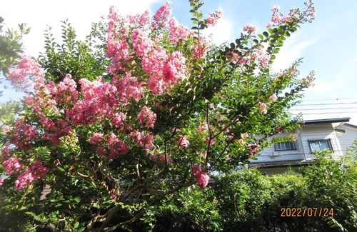 Yokosuka House | Unforgettable 二階座敷: Family-Friendly with Hot Tub
