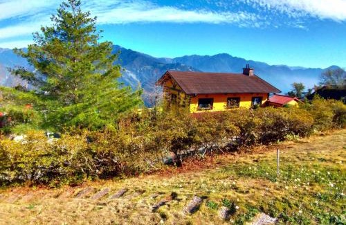 Ren'ai Bed & Breakfast | Discover the Magic of 清境挪威森林 for Families