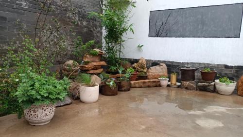 Shanhaiguan House | Discover Oceanfront Delights at 南金民宿