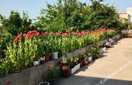 Dao Li Hotel | Discover Pet-Friendly Comfort at 东方红运宾馆 in Harbin