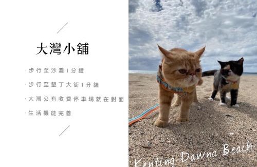 Big Beach Bed & Breakfast | Experience Oceanfront Comfort at 墾丁大灣小舖