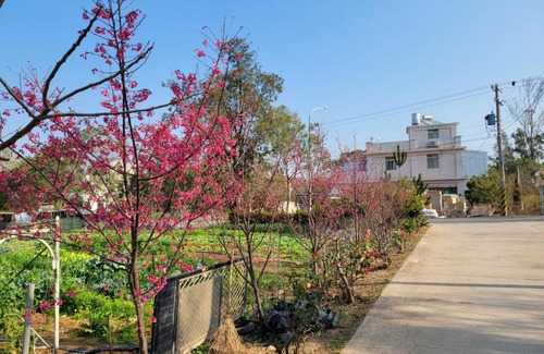 Jinning House | Cozy 好宿民宿: Pet-Friendly Stay with Breakfast Included