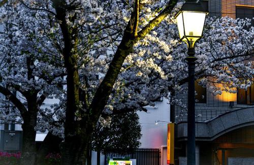 Matsuyama House | Family-Friendly Getaway Near Matsuyama's Best Attractions