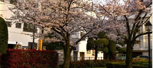 Matsuyama House | Family-Friendly Getaway Near Matsuyama's Best Attractions