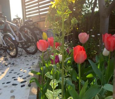 Izumisano House | Ocean View Retreat at 幽舍の庭: Family-Friendly Escape