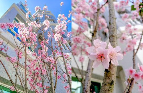 Jinhu House | Discover 林居民宿: Guest Rated 8.8 with Family-Friendly Amenities