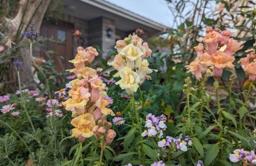 Yanagawa House | Discover 柳川ゲストハウス 憩 (IKOI): Pet-Friendly Retreat