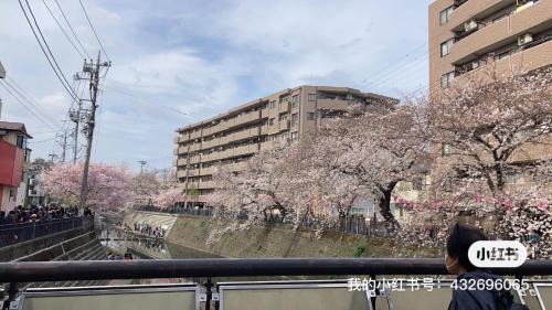 Minami Ward Villa | Discover Child-Friendly Comfort at 桜川別莊 Hotel
