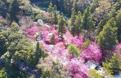 Ren'ai House | Relax at 森之秘湯 Mhuwe Hotspring with Hot Tub & Breakfast