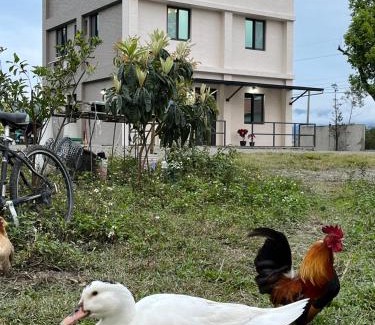 Guanshan Bed & Breakfast | Unforgettable Nanshan Homestay: Perfect for Families